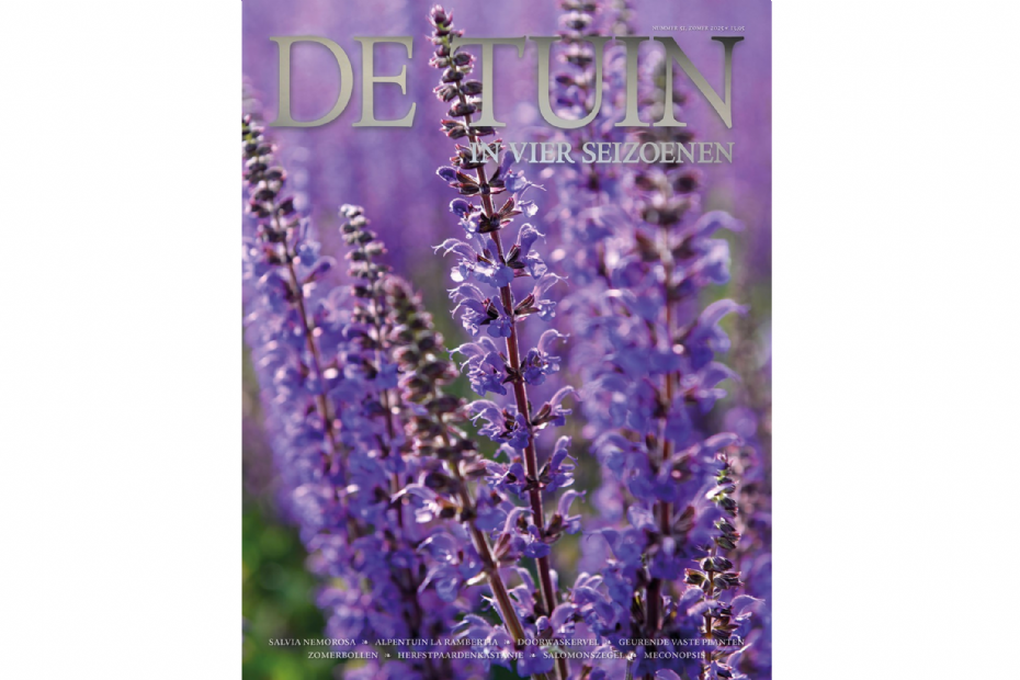 De tuin in vier seizoenen